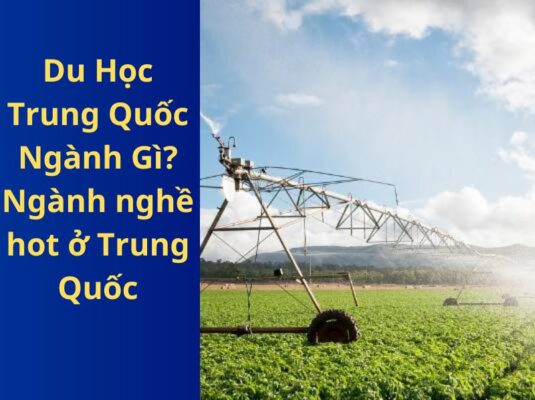 Du Học Trung Quốc Ngành Gì