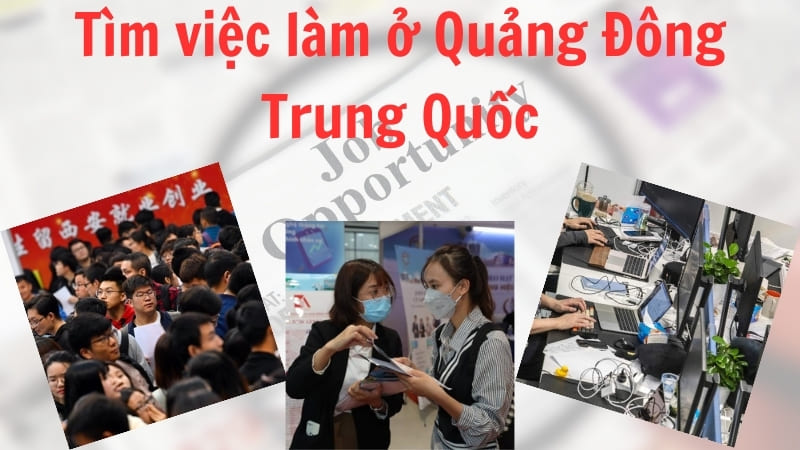 Kinh nghiệm tìm việc làm ở Quảng Đông Trung Quốc không nên bỏ qua