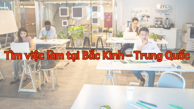 Sự cạnh tranh khốc liệt khi tìm việc làm tại Bắc Kinh Trung Quốc